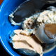 Illustration for article titled iBen Jerrys Spectacular Speculoos Cookie Core/i: The SnackTAYku Review